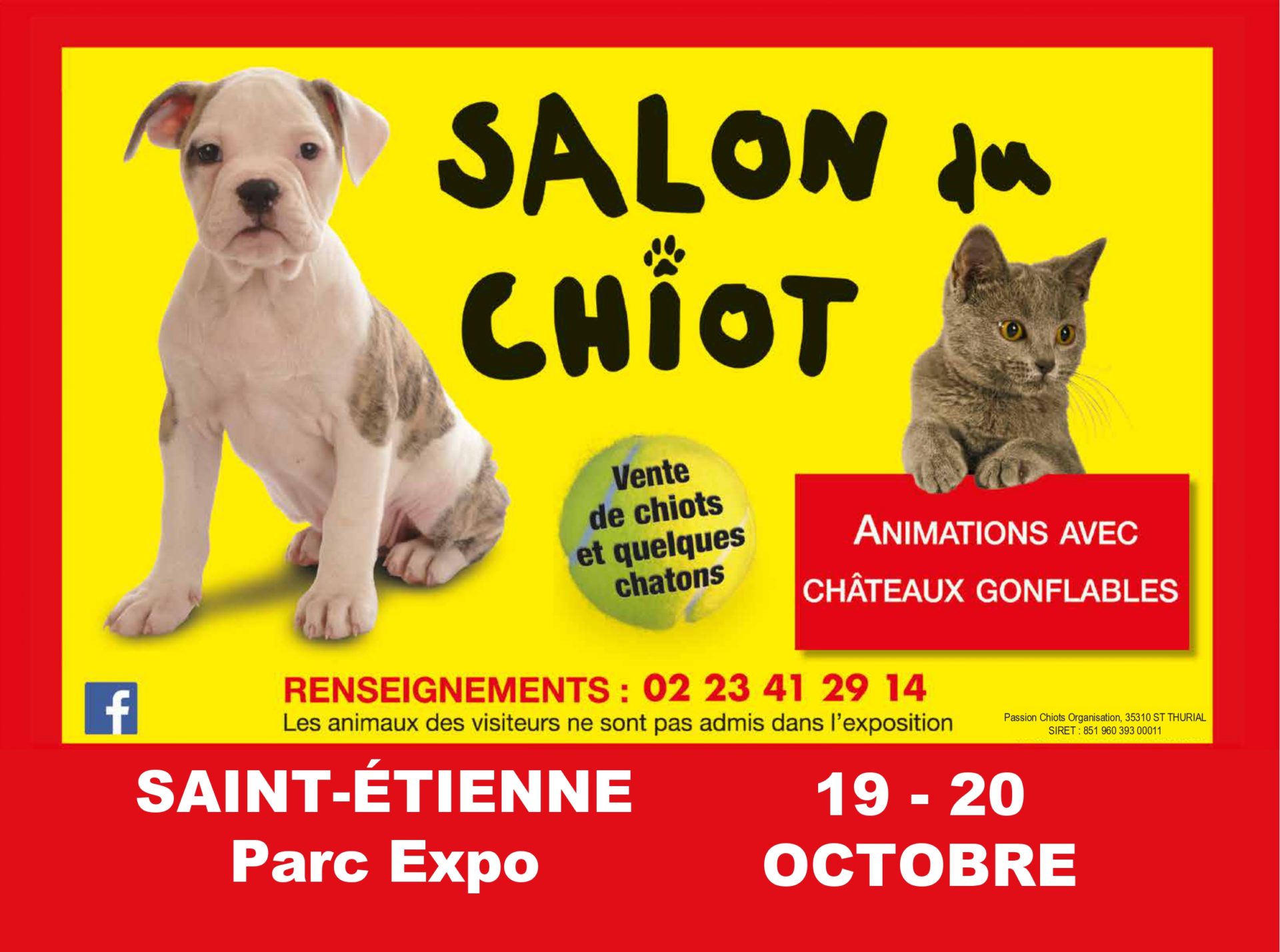 Salon Du Chiot Saint Etienne